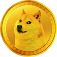 doge-300x300